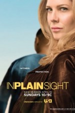 Watch In Plain Sight 9movies